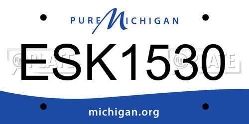 ESK1530 Michigan License Plate