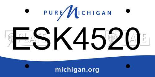 ESK4520 Michigan License Plate