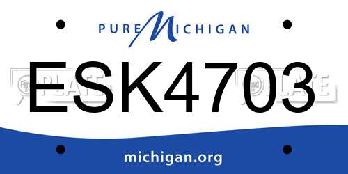 ESK4703 Michigan License Plate
