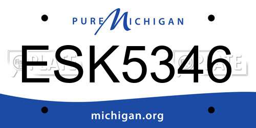 ESK5346 Michigan License Plate