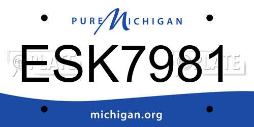 ESK7981 Michigan License Plate