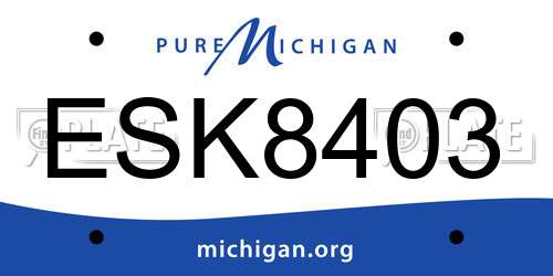 ESK8403 Michigan License Plate