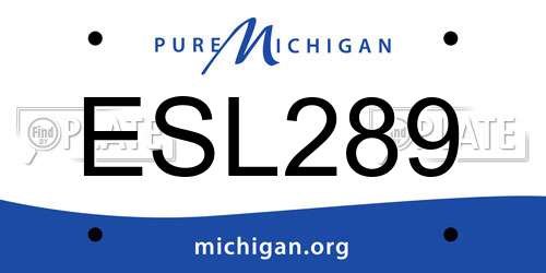 ESL289 Michigan License Plate
