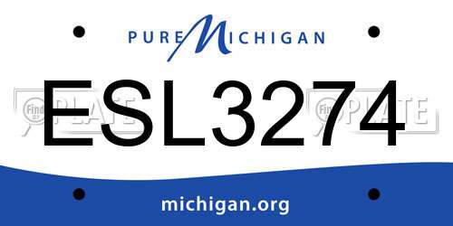 ESL3274 Michigan License Plate