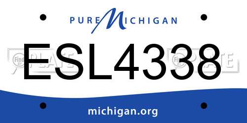 ESL4338 Michigan License Plate