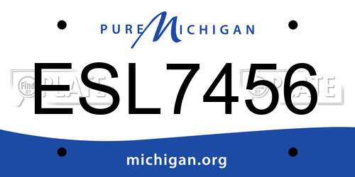 ESL7456 Michigan License Plate