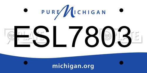 ESL7803 Michigan License Plate