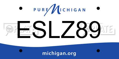 ESLZ89 Michigan License Plate