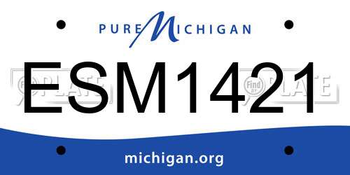 ESM1421 Michigan License Plate