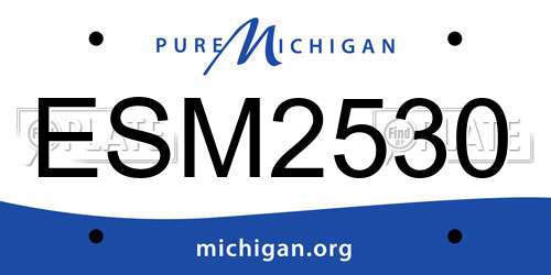 ESM2530 Michigan License Plate