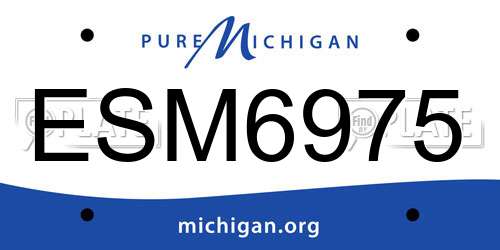 ESM6975 Michigan License Plate
