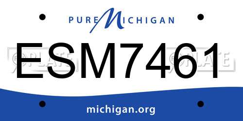 ESM7461 Michigan License Plate