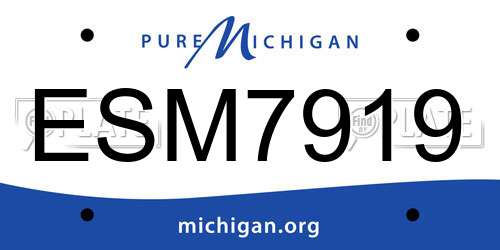 ESM7919 Michigan License Plate