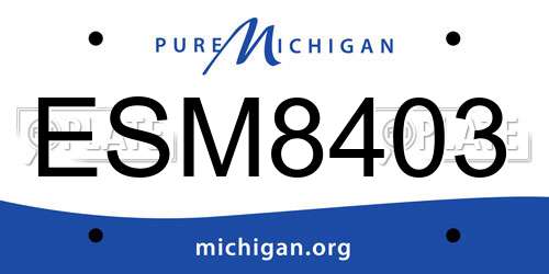 ESM8403 Michigan License Plate