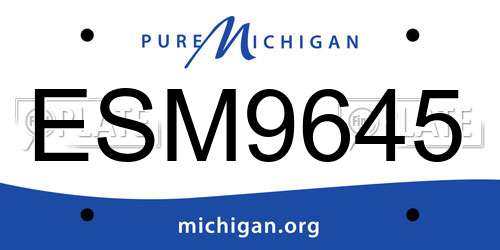 ESM9645 Michigan License Plate