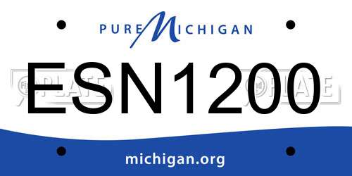 ESN1200 Michigan License Plate