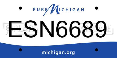 ESN6689 Michigan License Plate