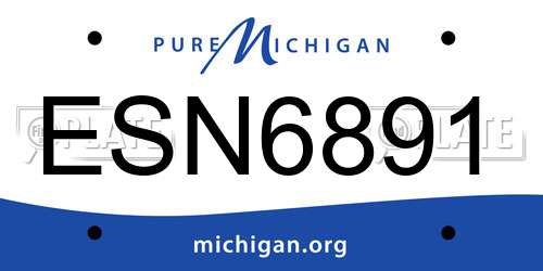 ESN6891 Michigan License Plate
