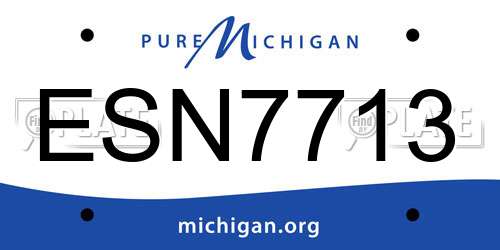 ESN7713 Michigan License Plate