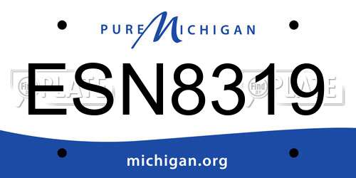 ESN8319 Michigan License Plate