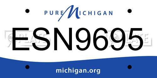 ESN9695 Michigan License Plate