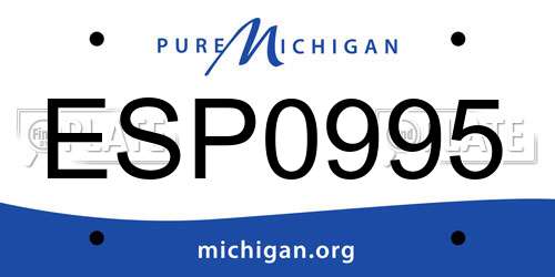 ESP0995 Michigan License Plate