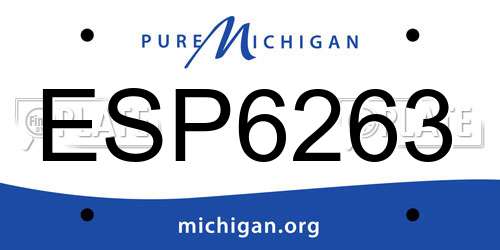 ESP6263 Michigan License Plate