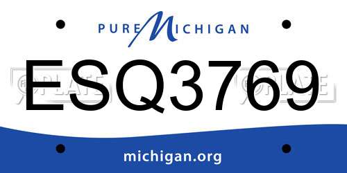 ESQ3769 Michigan License Plate