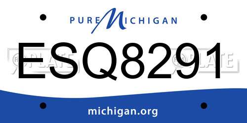 ESQ8291 Michigan License Plate