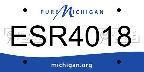 ESR4018 Michigan License Plate