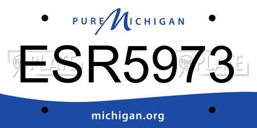 ESR5973 Michigan License Plate