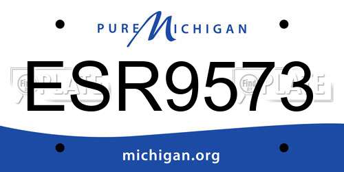 ESR9573 Michigan License Plate