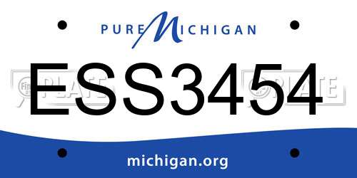 ESS3454 Michigan License Plate