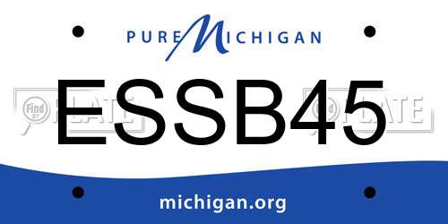 ESSB45 Michigan License Plate