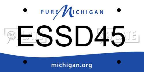 ESSD45 Michigan License Plate