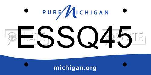 ESSQ45 Michigan License Plate