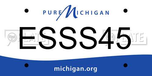 ESSS45 Michigan License Plate