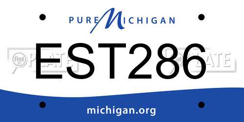 EST286 Michigan License Plate