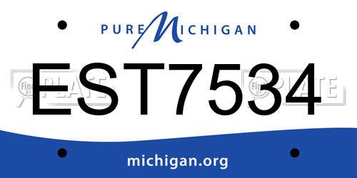EST7534 Michigan License Plate