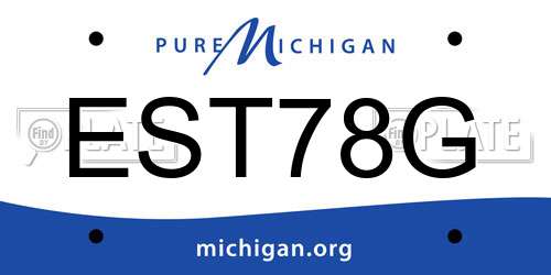 EST78G Michigan License Plate