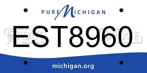 EST8960 Michigan License Plate