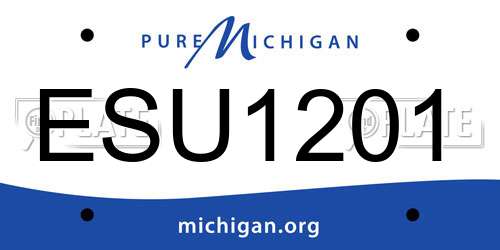 ESU1201 Michigan License Plate