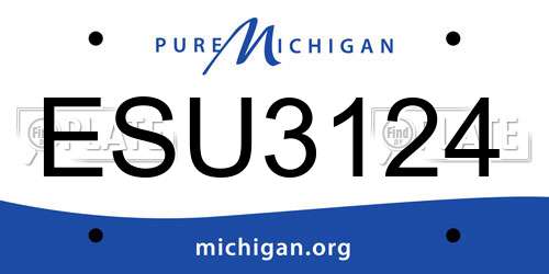 ESU3124 Michigan License Plate