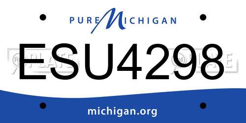 ESU4298 Michigan License Plate