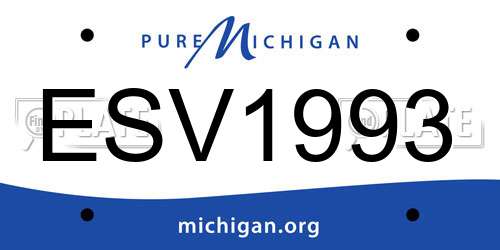 ESV1993 Michigan License Plate