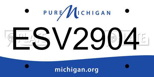 ESV2904 Michigan License Plate