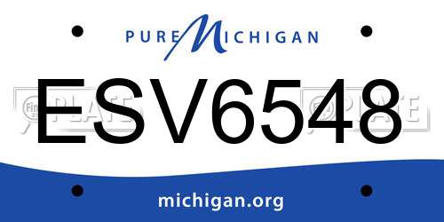ESV6548 Michigan License Plate