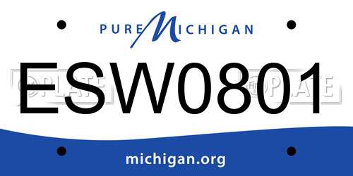 ESW0801 Michigan License Plate