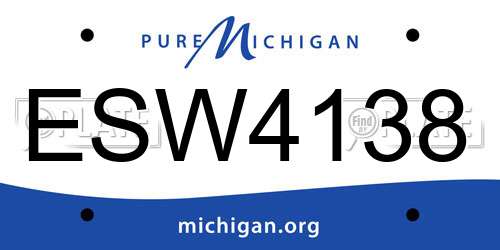 ESW4138 Michigan License Plate