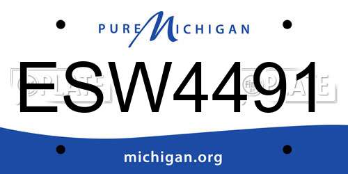 ESW4491 Michigan License Plate